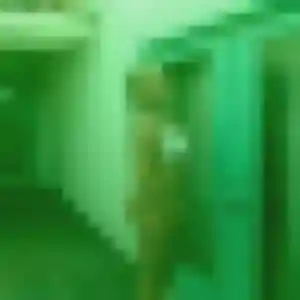 Profil de Amira à Saint-Mamert-du-Gard (24 ans) - plan cul gratuit
