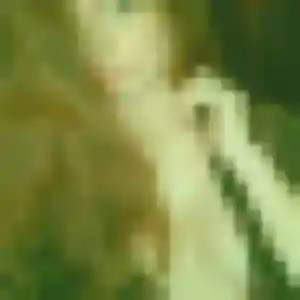 Lina, 25 ans, cherche un plan cul à Saint-Mars-la-Réorthe