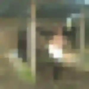 Profil de Bettina à Saint-Martin-d'Auxigny (33 ans) - plan cul anonyme