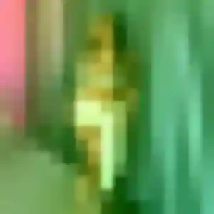 Photo de Ibtissam à Saint Maurice Étusson (31 ans) - plan cul anonyme