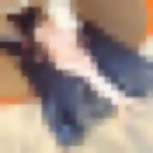 Contacte Phoebe, 24 ans à Saint-Pabu en privé