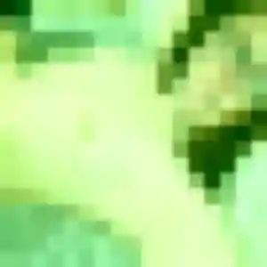 Photo privée de Valerie, 33 ans à Saint-Pal-de-Chalencon - rencontre coquine