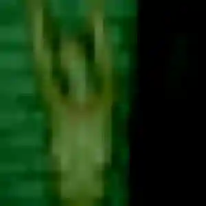 Photo privée de Zephyrine, 28 ans à Saint-Paulien - rencontre sans lendemain