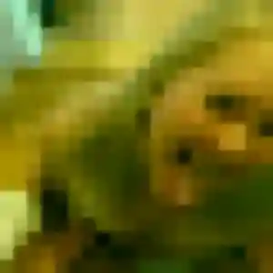 Gwendoline, 43 ans, dispo pour plan cul à Saint-Père-sur-Loire