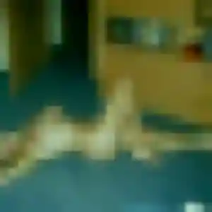 Eleonore, 34 ans, disponible à Saint-Pierre-lès-Elbeuf pour un plan cul