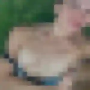 Eglantine, fille de 23 ans cherche plan cul à Saint-Rémy-l'Honoré