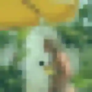 Photo privée de Nelly, 33 ans à Saint-Romans-lès-Melle - plan discret