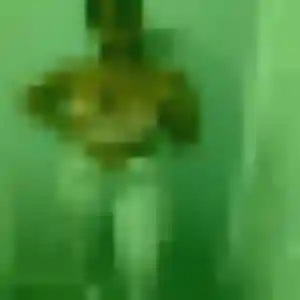 Photo de Dorothee à Saint-Séglin (34 ans) - plan cul sans inscription