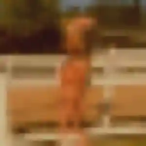 Profil de Laure à Saint-Vigor-le-Grand (40 ans) - plan cul discret