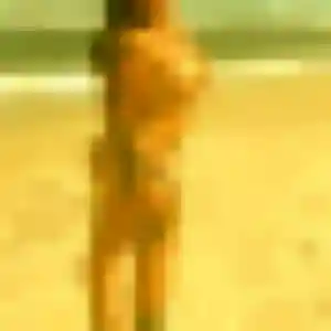 Kelly de Saint-Yrieix-la-Perche, 34 ans - plan cul discret