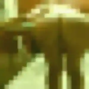 Rania, 43 ans, connectée à Sainte-Féréole pour une rencontre coquine