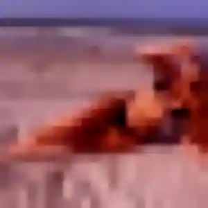 Fiona (44 ans) à Sainte-Marie-sur-Ouche cherche un plan cul rapidement