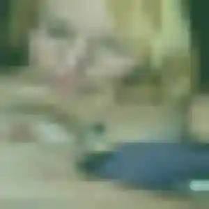 Vicky, 26 ans, connectée à Saintigny pour une rencontre coquine