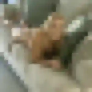 Sofia, fille de 25 ans veut plan cul à Salviac