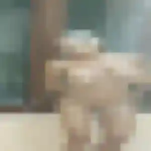 Contacte Josephine, 35 ans à Samoreau gratuitement