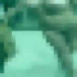 Anais, 33 ans, connectée à Schweighouse-Thann pour une rencontre coquine