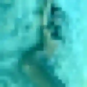 Photo de Roxane à Seillans (22 ans) - plan cul gratuit
