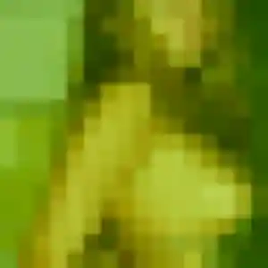 Lisa, 40 ans, disponible à Selles-Saint-Denis pour un plan cul