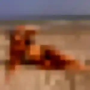 Photo perso de Amandine, 30 ans à Serraval - rencontre coquine