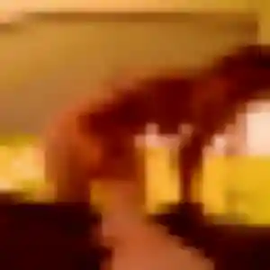 Mylene, 34 ans, en ligne à Serres-sur-Arget pour une rencontre coquine