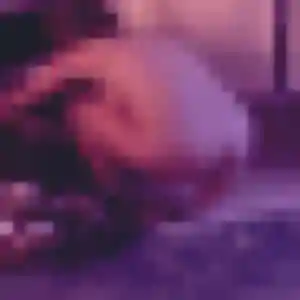 Photo perso de Eva, 29 ans à Sillery - rencontre sans lendemain