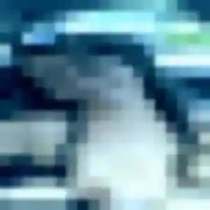 Contacte Gladys, 38 ans à Siouville-Hague gratuitement