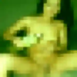 Photo de Rachida à Sotteville-lès-Rouen (30 ans) - plan cul gratuit