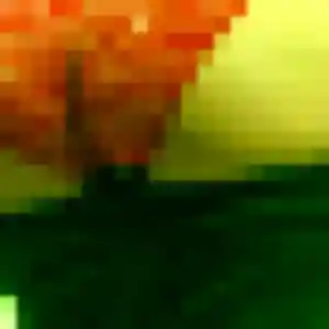 Photo perso de Lilou, 37 ans à Soulitré - rencontre coquine