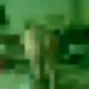 Contacte Brunehilde, 39 ans à Soultz-Haut-Rhin en t'inscrivant