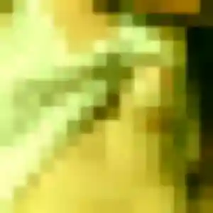 Hortense, 25 ans, en ligne à Steenwerck pour une rencontre coquine