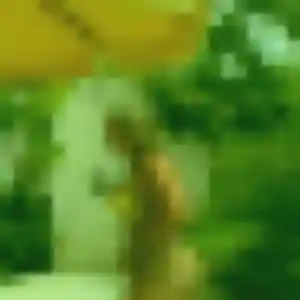 Photo de Albertine à Tarascon (38 ans) - plan cul gratuit