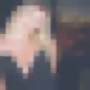 Photo de Wendy à Tauves (28 ans) - plan cul discret