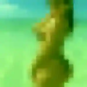 Sexy Elise, 36 ans à Toulaud - la contacter
