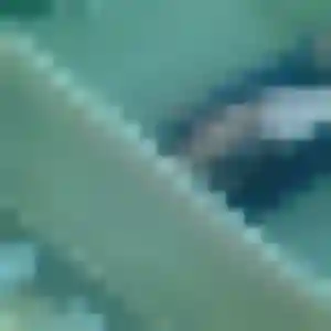 plan cul à Trébons : photo de Yasmina, 36 ans - inscription gratuite