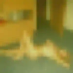 Karen, 45 ans, dispo pour plan cul à Treillières