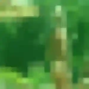 Photo de Ariane à Tucquegnieux (32 ans) - plan cul discret