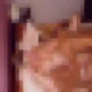 Photo de Lilou à Uhrwiller (23 ans) - plan cul anonyme