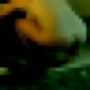 Photo de Lisa à Upie (40 ans) - plan cul anonyme