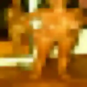 Photo privée de Dounia, 32 ans à Uzès - rencontre coquine