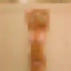 Photo privée de Zara, 42 ans à Vailhourles - plan discret