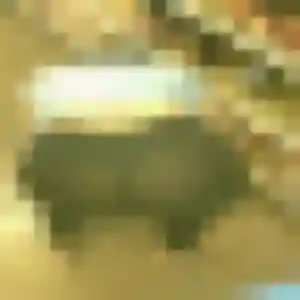 Alice, 22 ans, dispo pour plan cul à Valsonne