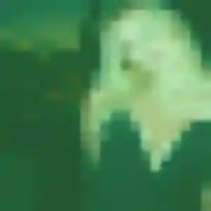 Ninon, 39 ans, cherche un plan cul à Varennes-Vauzelles