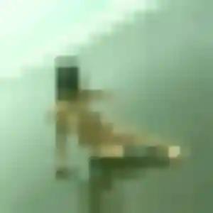 Photo de Gisele à Vaumoise (32 ans) - plan cul gratuit