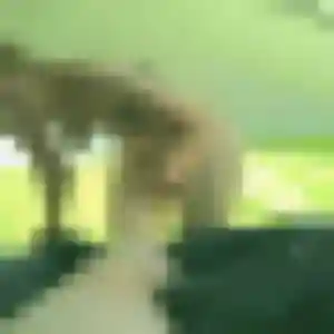 Photo sexy de Perrine, 44 ans à Vay - rencontre sans lendemain