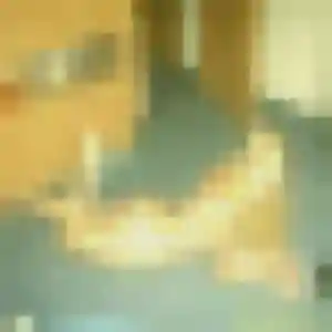 Jocelyne, 31 ans, connectée à Vémars pour une rencontre coquine