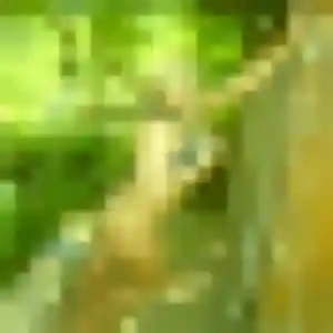 Photo exclusive de Erika, 24 ans à Vernou-la-Celle-sur-Seine - rencontre coquine