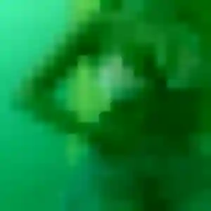 Profil de Cyrielle à Vétrigne (30 ans) - plan cul anonyme
