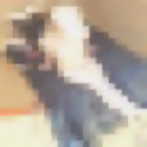 Catherine, 36 ans, dispo pour plan cul à Vézins-de-Lévézou