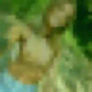 Maya, fille de 25 ans cherche plan cul à Vielmur-sur-Agout