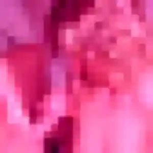 Photo perso de Rosalie, 23 ans à Vignoux-sous-les-Aix - rencontre coquine